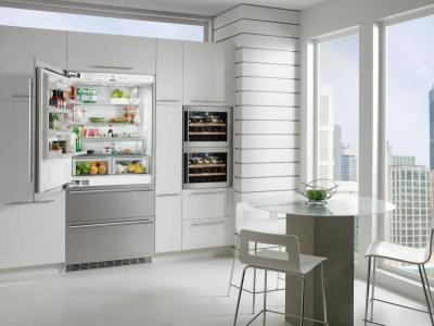36" Liebherr Fridge-freezer with NoFrost - CS 2060