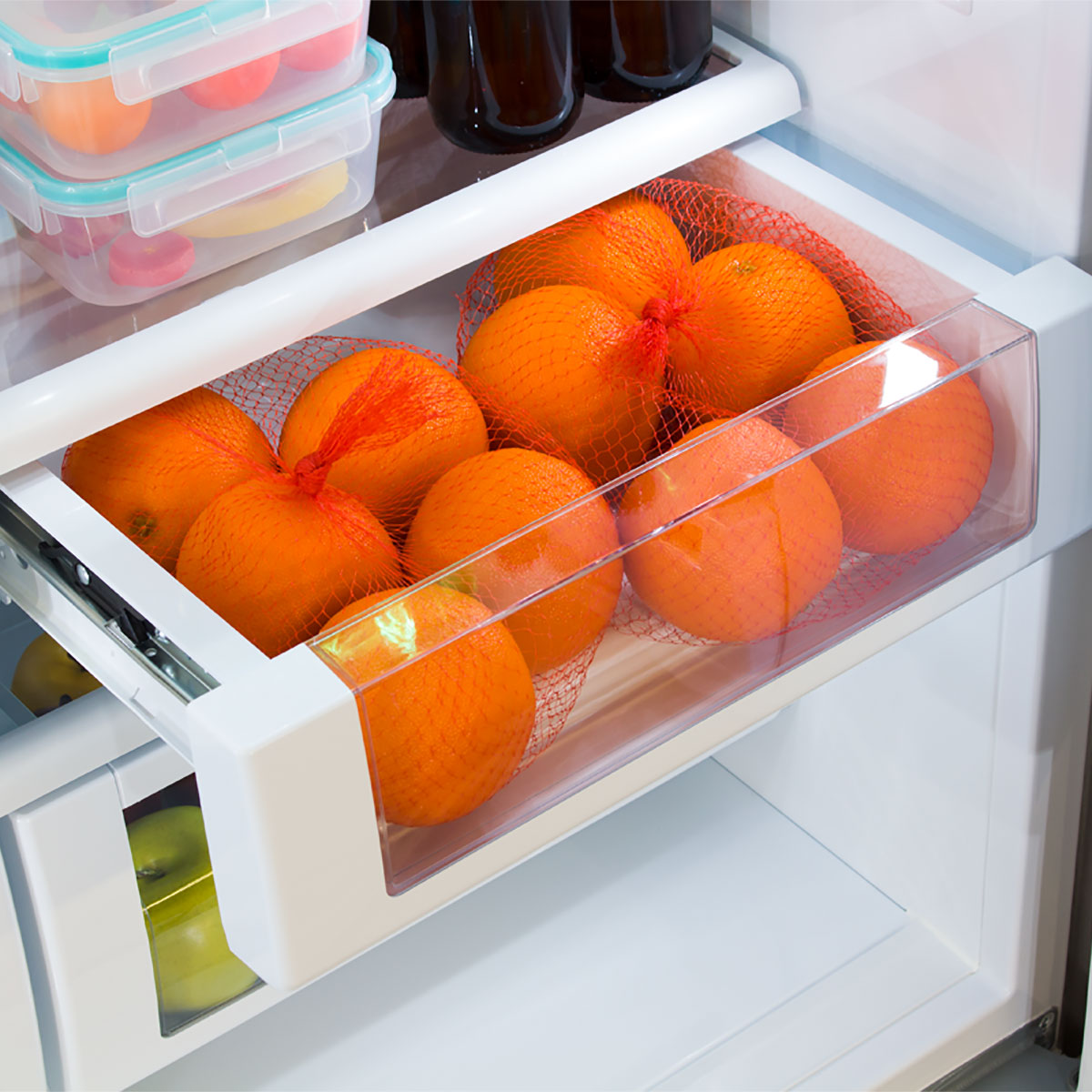 36" Marvel Professional Built-In Bottom Freezer Refrigerator - MP36BF2LP