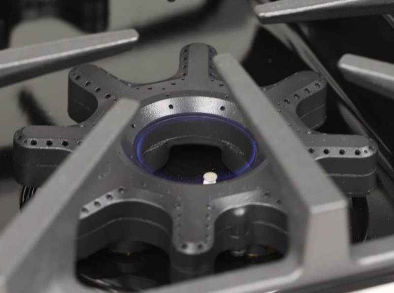 48" Blue Star Liquid Propane Dual Fuel Range with 8 Burners - BSDF488BLW