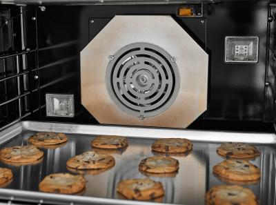 30" BlueStar Platinum Series Gas Range - BSP304B