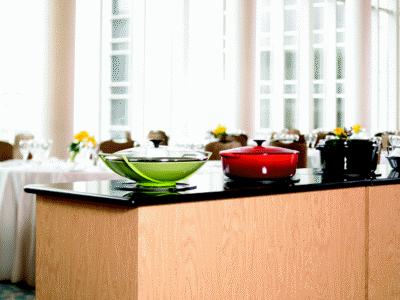 18" Viking  Undercounter Incogneeto Induction Warmer  - VUIW518