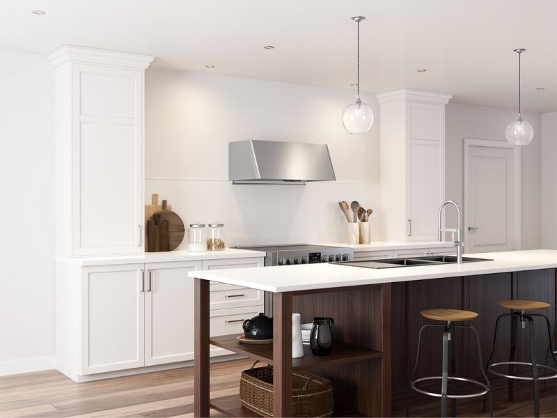 48" Zephyr Mesa Wall Mount Range Hood - DME-E48ASSX