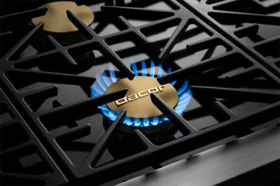  48" Dacor Liquid Propane  Gas Pro Range - HGPR48S/LP