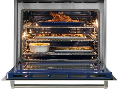 30" Wolf E Series Professional Built-In Single Oven - SO3050PE/S/P