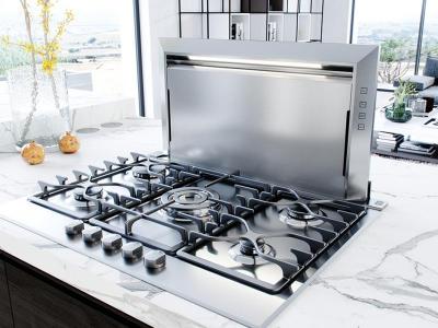 30" Zephyr Designer Collection Lift Downdraft Hood in Stainless Steel - DLI-E30ASX