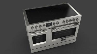 48" Fulgor Milano Sofia 600 Series Freestanding Professional Induction Range - F6PIR487S1