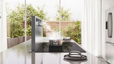 37" Bosch 800 Series Downdraft Ventilation Stainless Steel - HDD86052UC